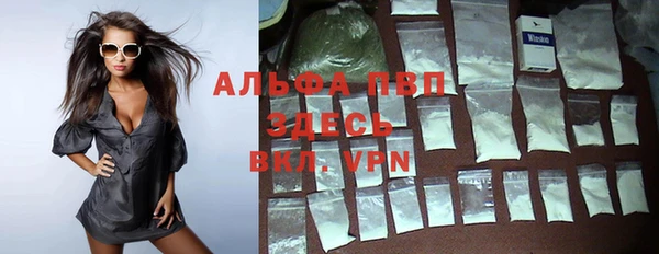 стаф Алексин
