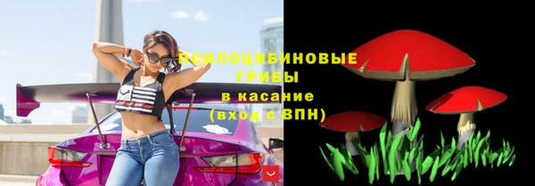 ешки Алзамай