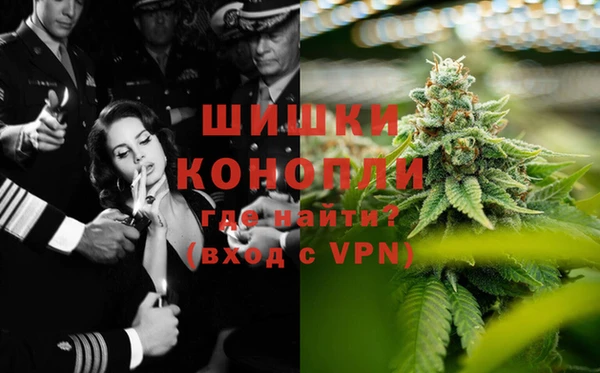 ешки Алзамай