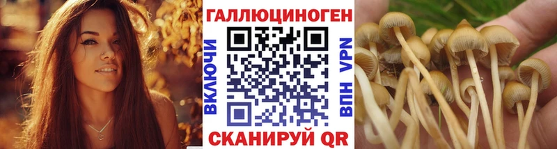 Псилоцибиновые грибы ЛСД  кракен зеркало  Черкесск 