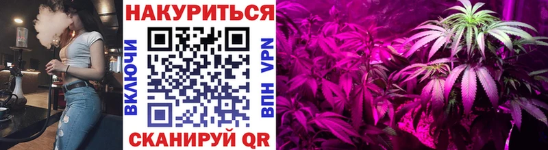 где купить наркоту  Черкесск  Марихуана Amnesia 